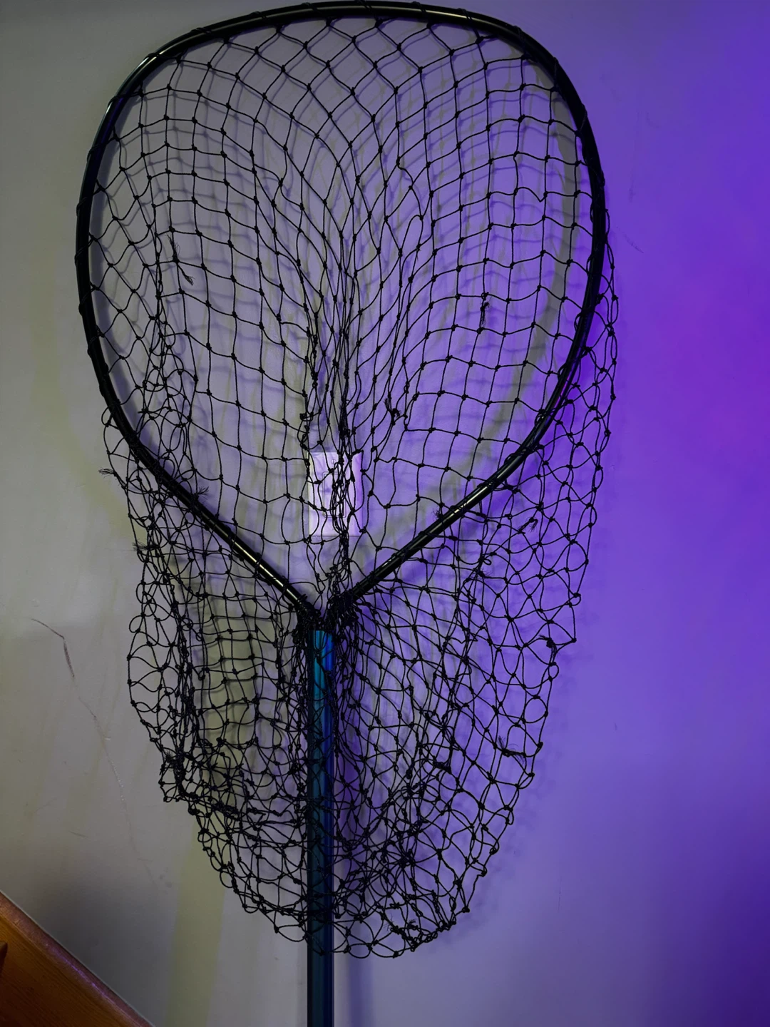 Fishing Net - photo 2