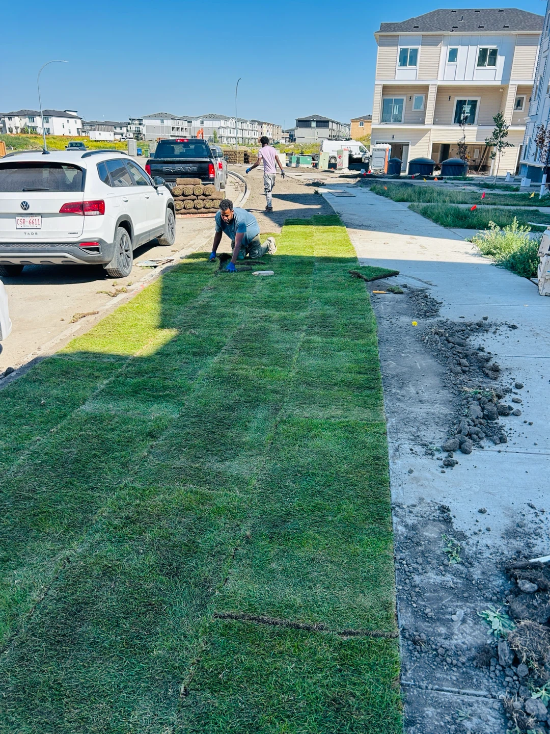 Fresh sod laid for new lawn - photo 3