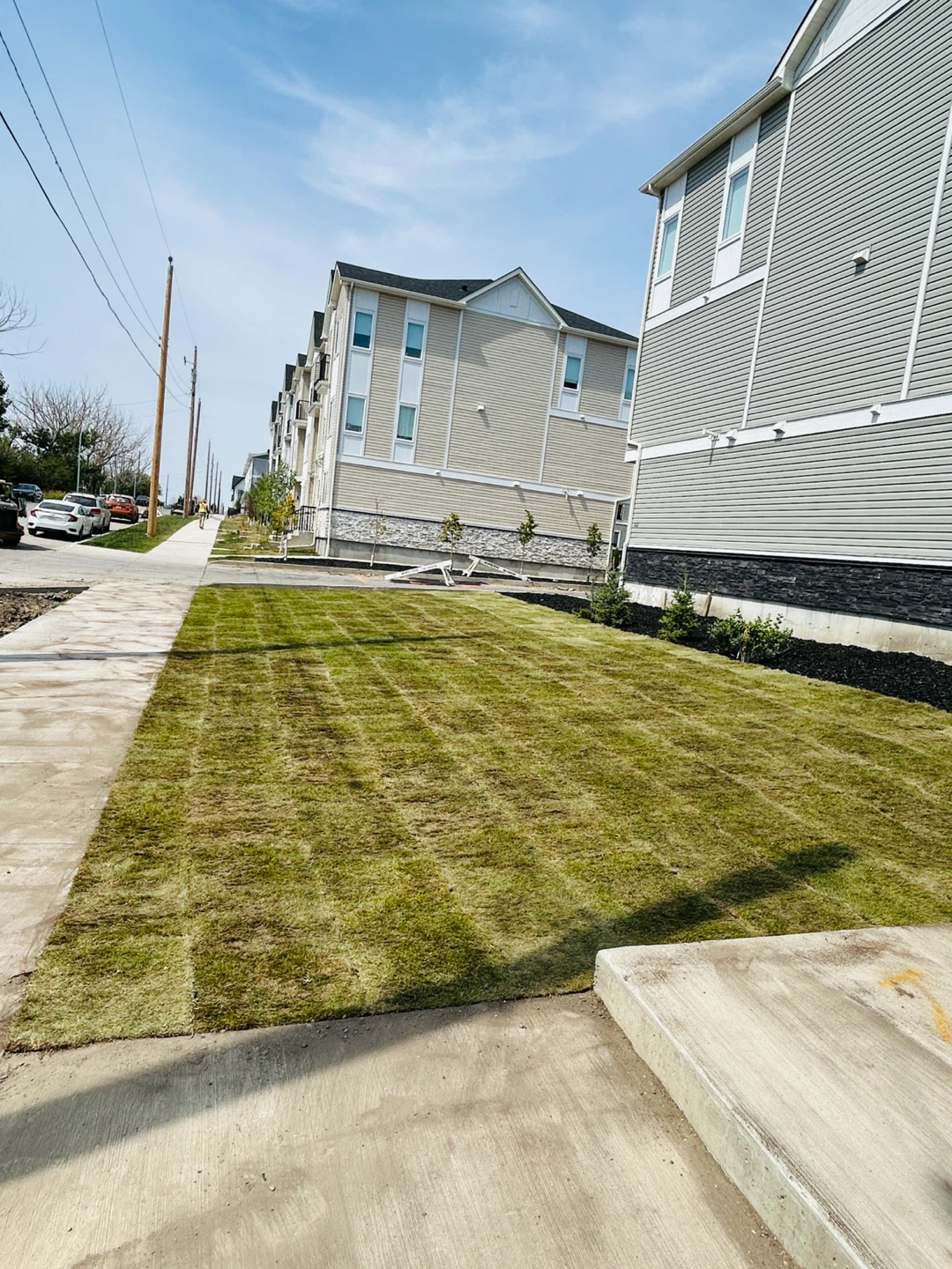 Fresh sod laid for new lawn - photo 5