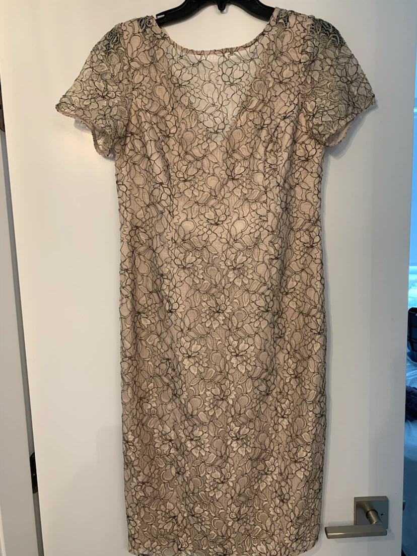 Women's Lace Sheath Dress