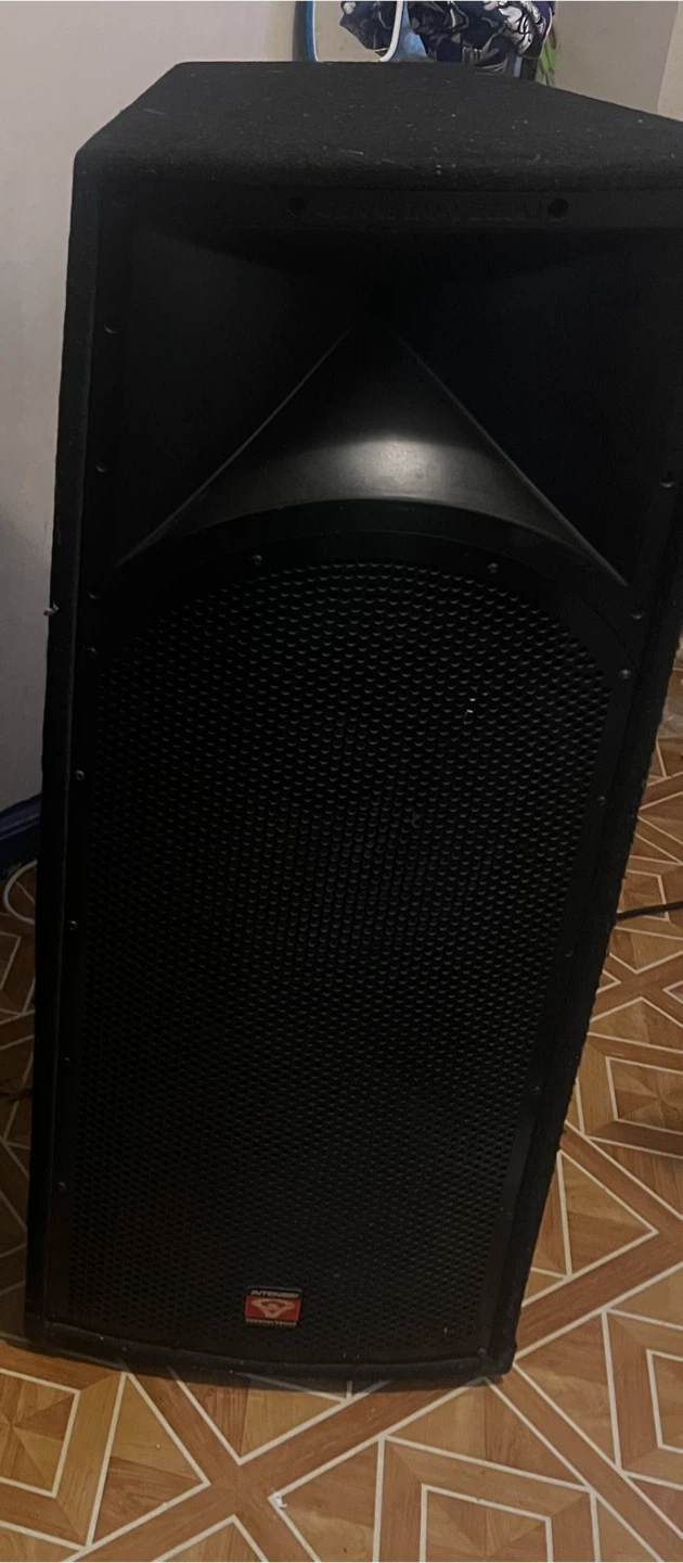 JBL PA Speaker - photo 2