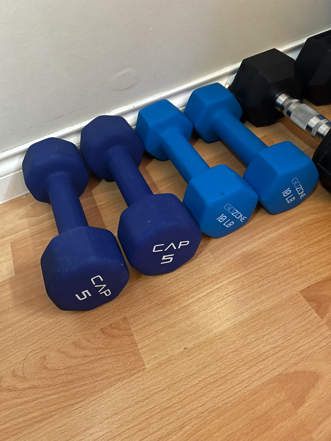 5lbs and 10lbs Dumbbells