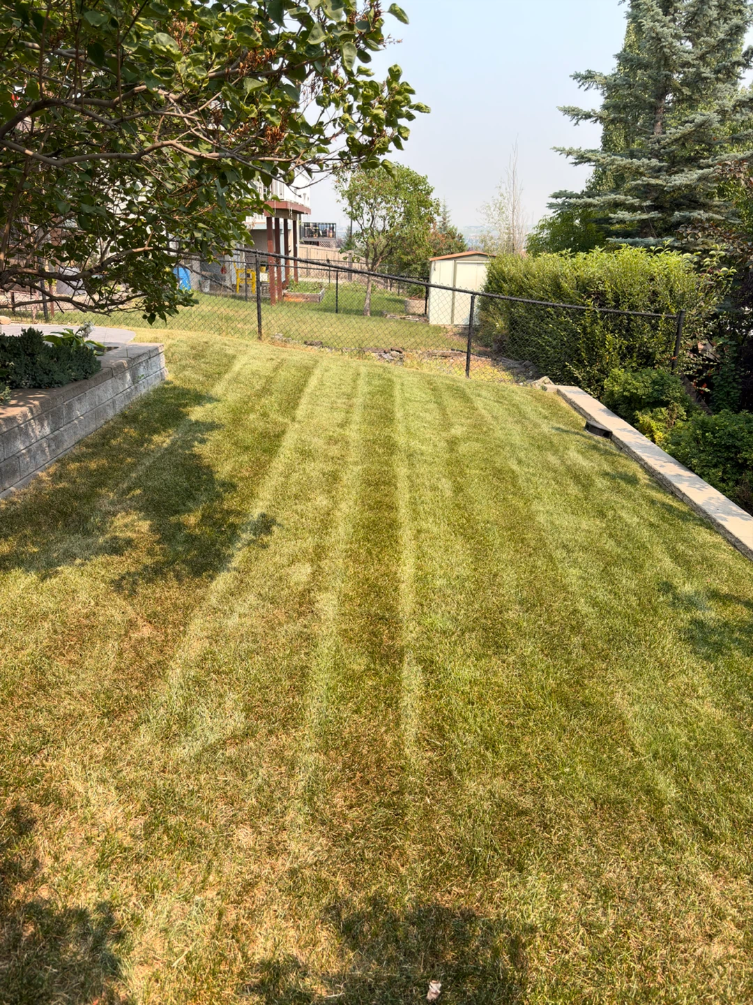 🌱 Affordable & Reliable Lawn Mowing Services! 🌱 - photo 2