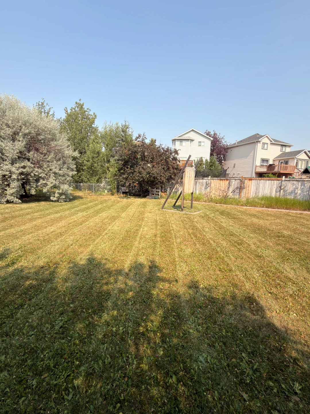 🌱 Affordable & Reliable Lawn Mowing Services! 🌱 - photo 5