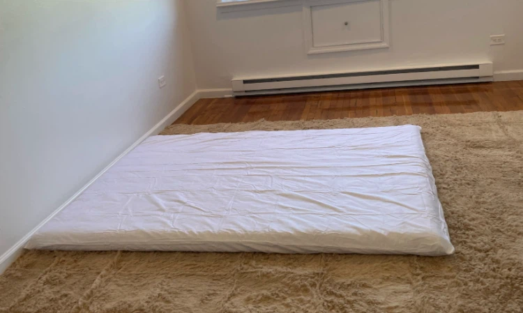 ZONLI Wheat Dream Futon Mattress + 2 covers - photo 3