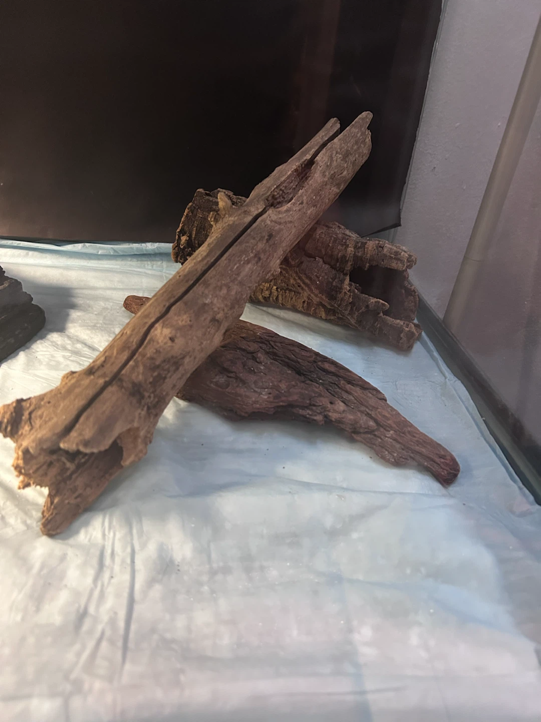 Bearded Dragon Habitat with Accessories - photo 4