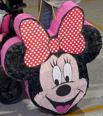 Piñatas SHEY ARTE - photo 4