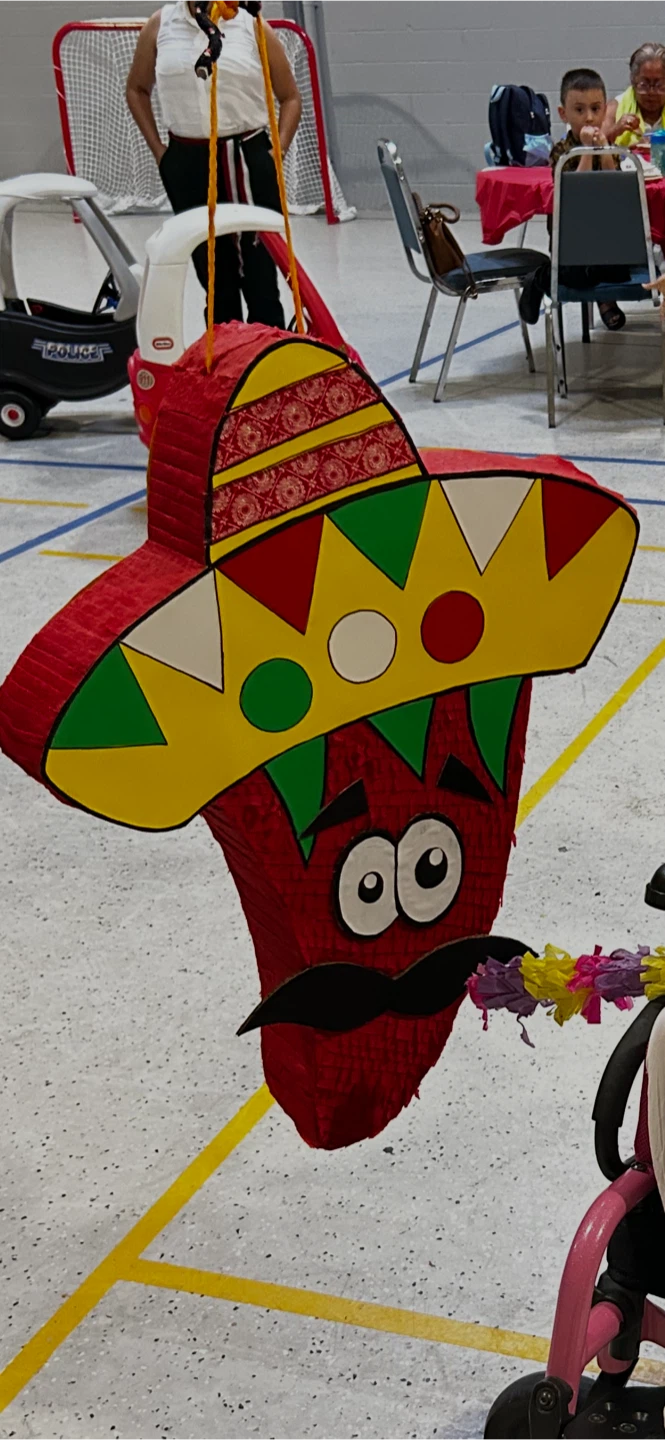 Piñatas SHEY ARTE - photo 5