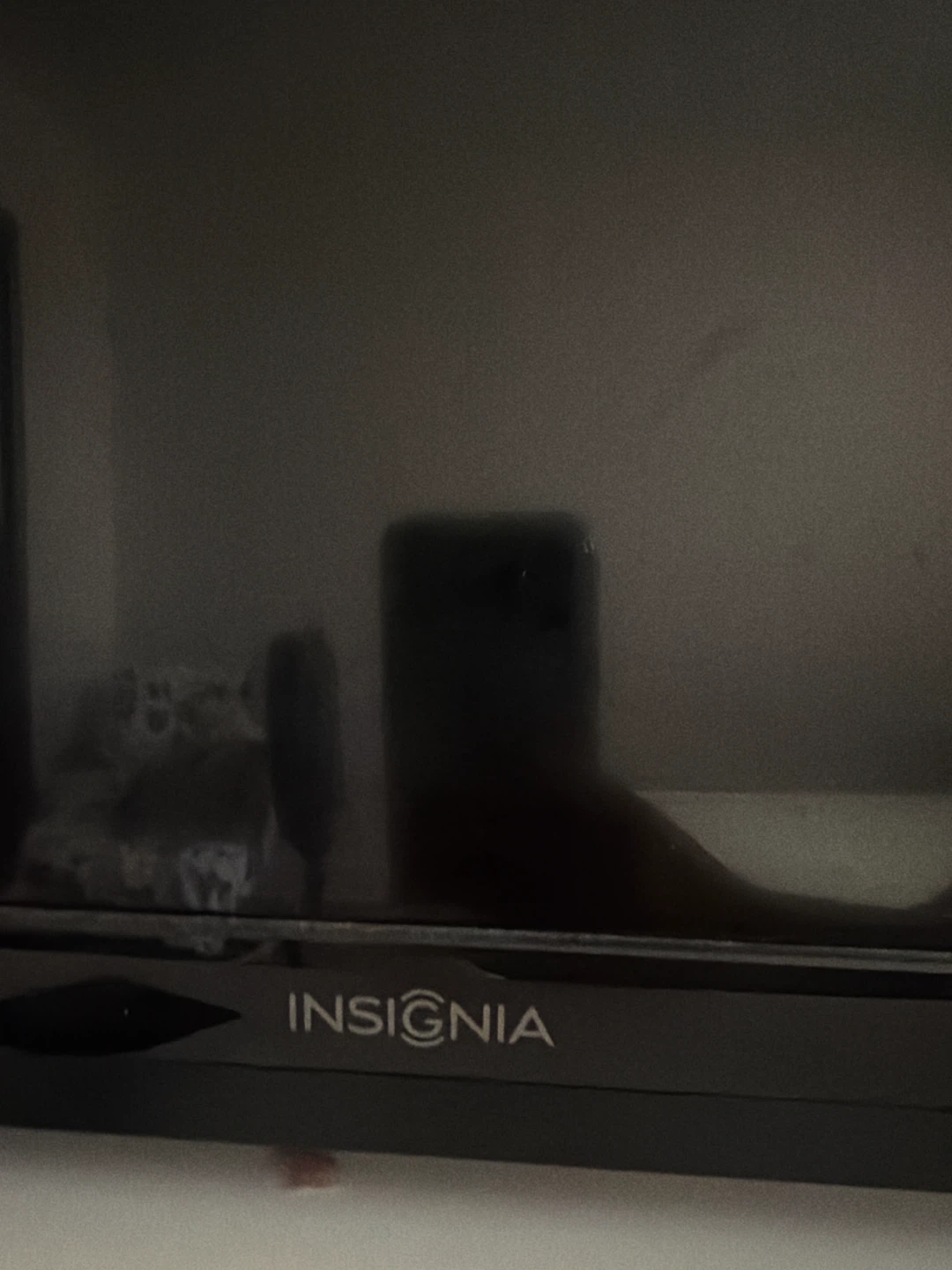 Insignia Flat Screen TV - photo 3