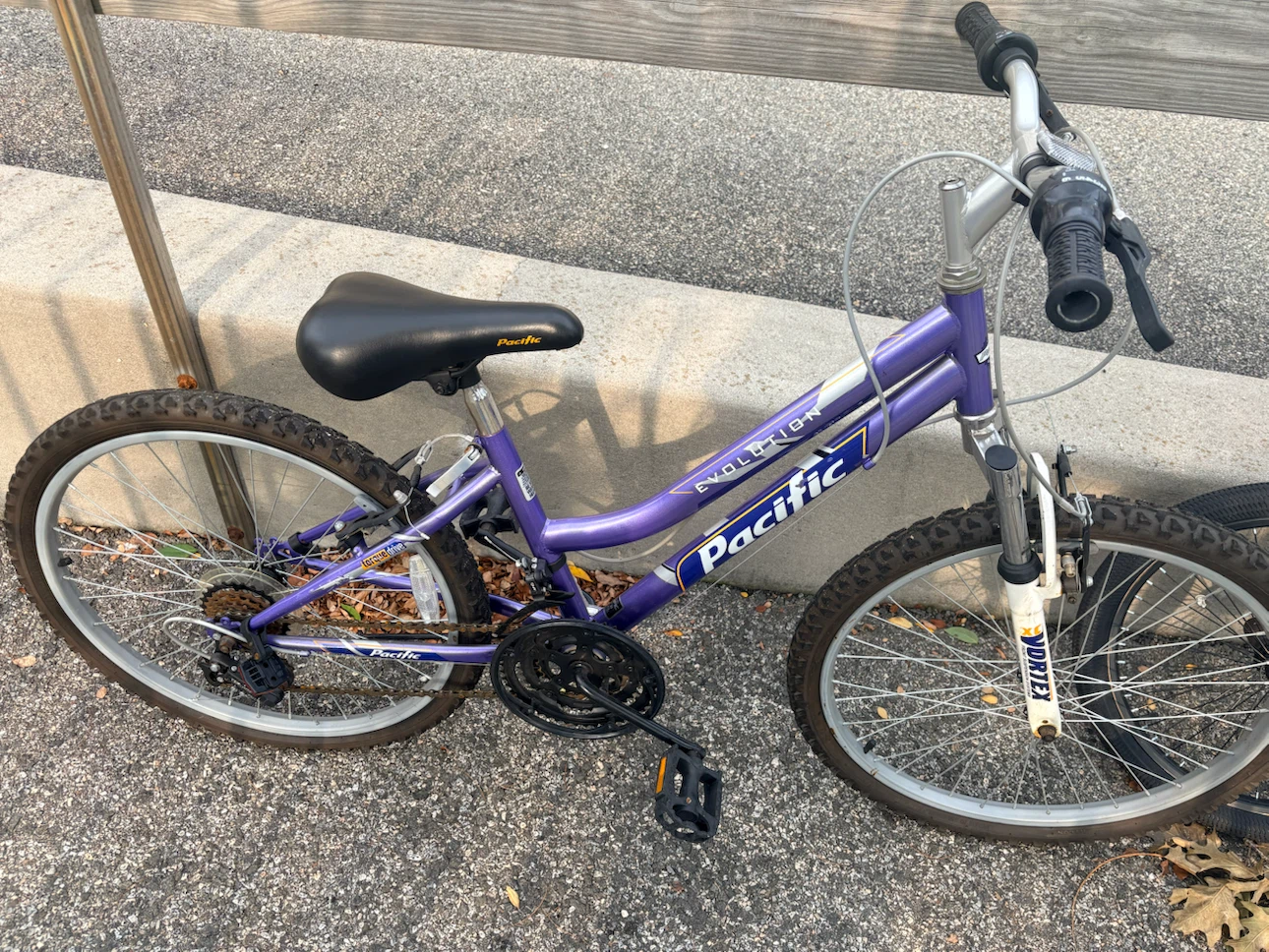 Pacific Evolution Purple Bike