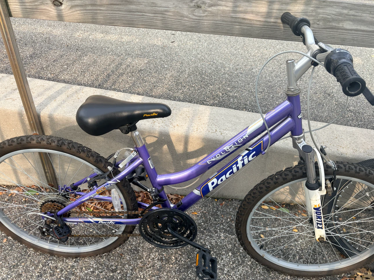Pacific Evolution Purple Bike - photo 2