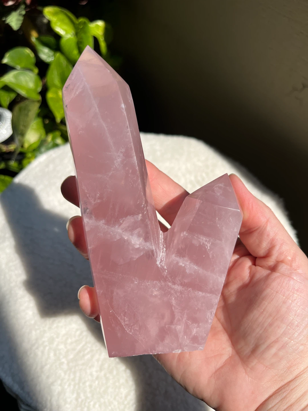Rose Quartz Double Point, Stunning Statement Piece