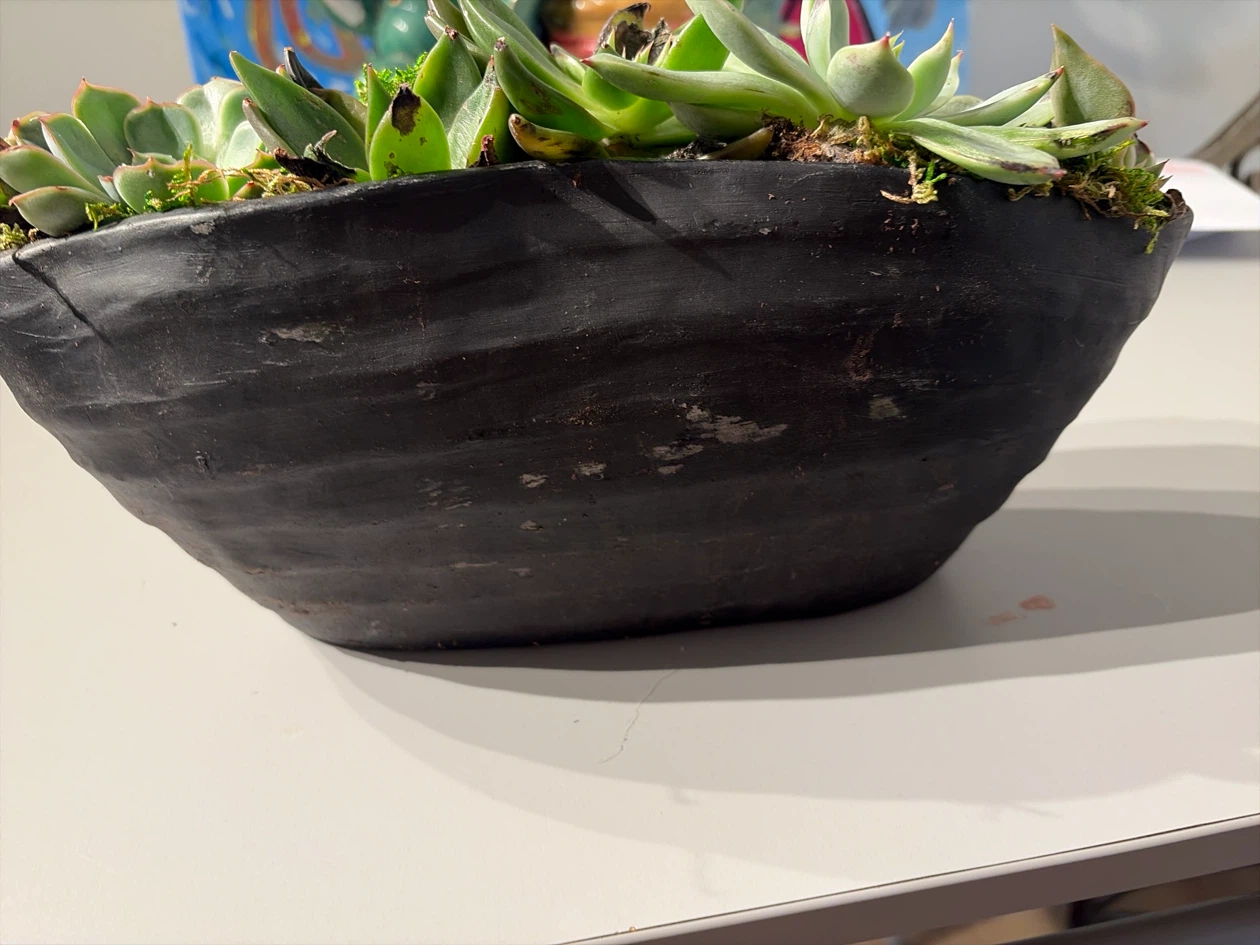 Black Ceramic Planter with Succulents - photo 2