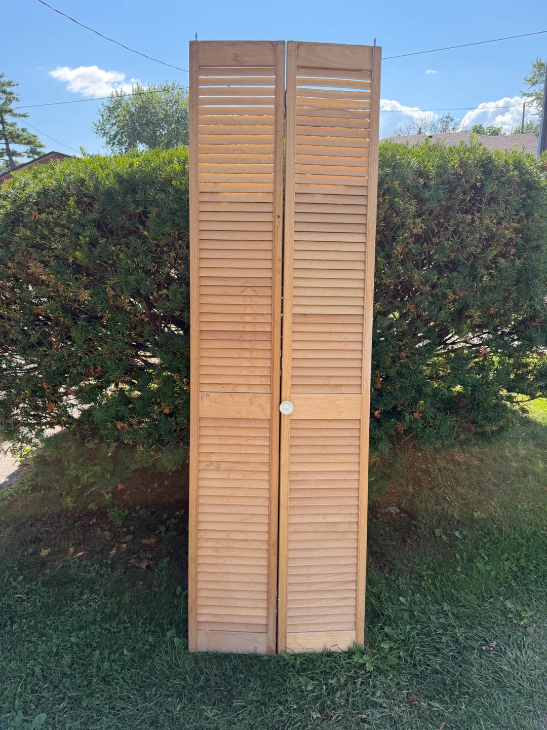 Bifolding Door