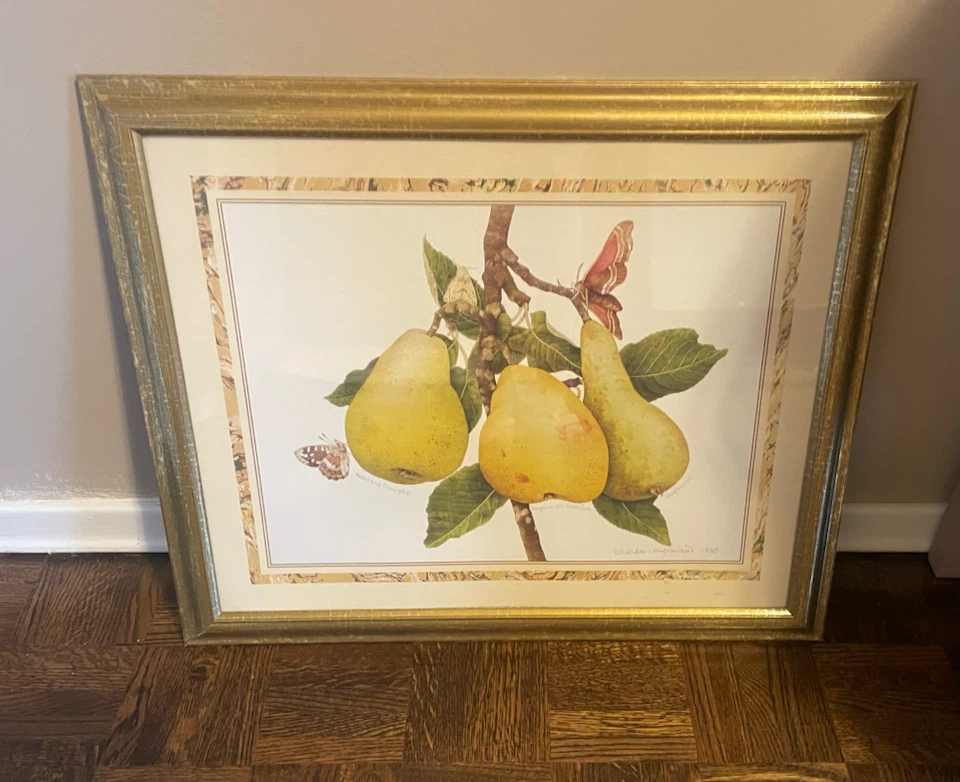 Framed Art Print of Pears and Butterflies