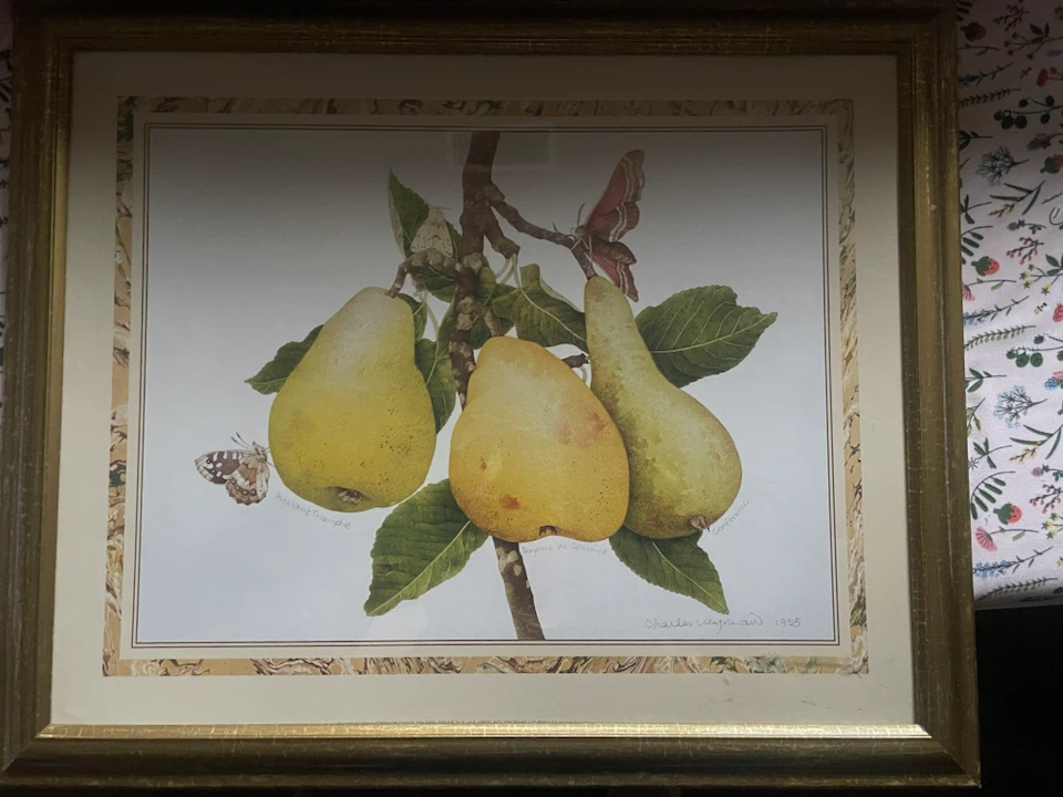 Framed Art Print of Pears and Butterflies - photo 2
