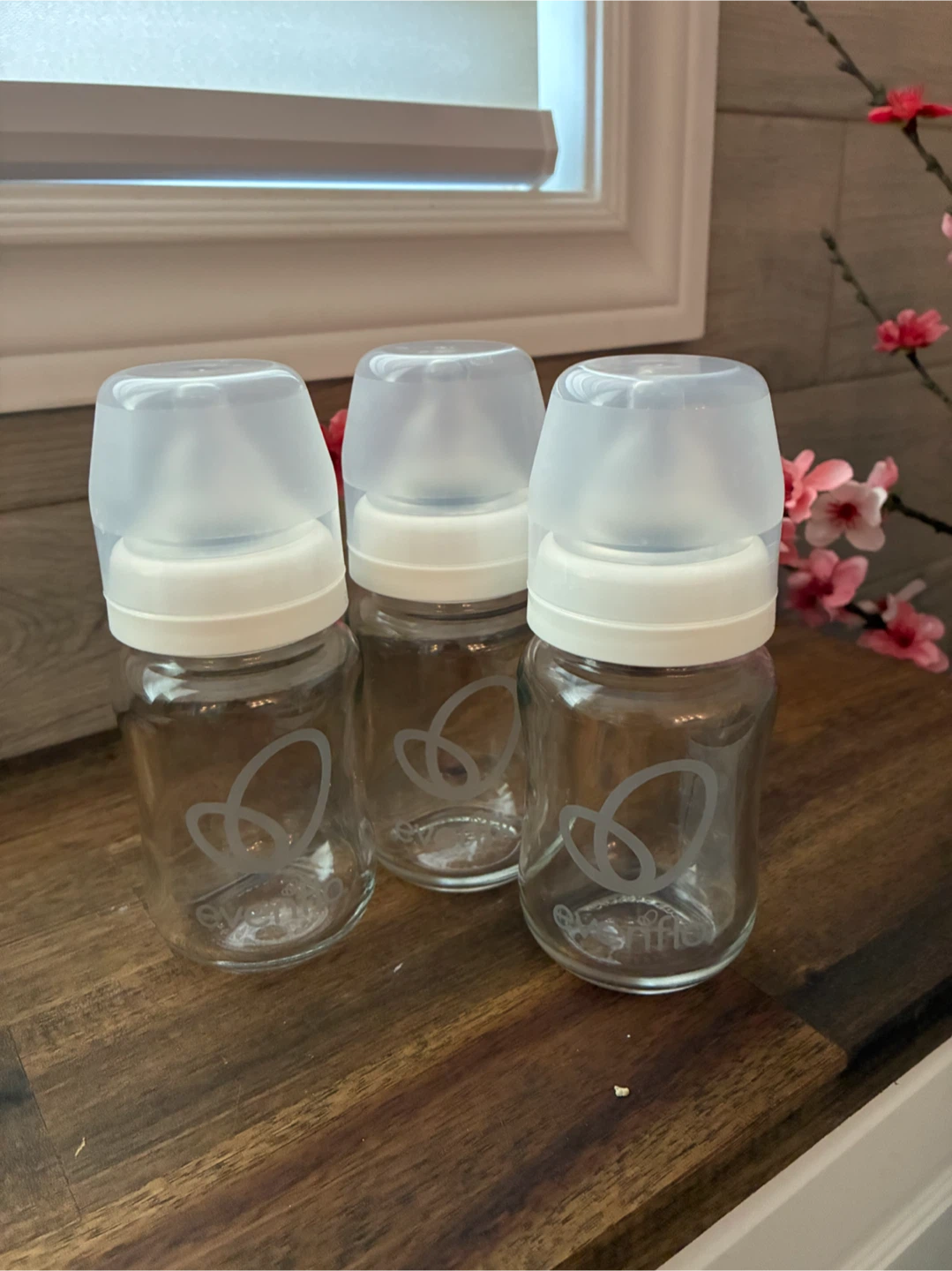 Evenflo Glass Baby Bottles - 3 Pack