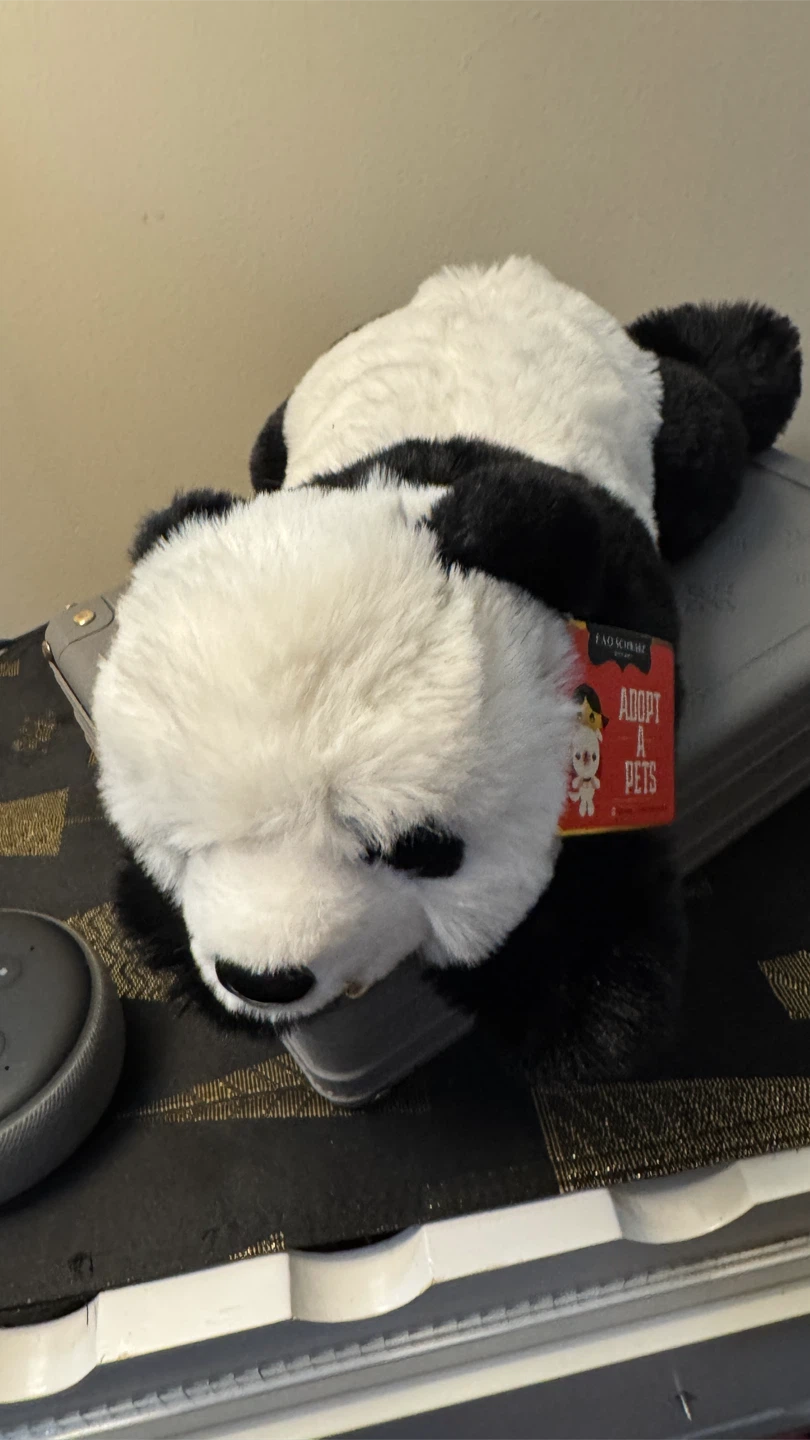FAO Schwarz Adopt-a-Pets Panda Plush Toy - photo 4