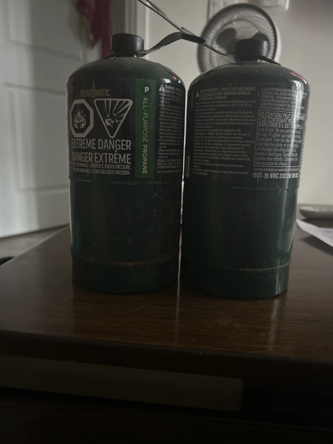 Bernzomatic All-Purpose Propane Cylinder (2 Pack)