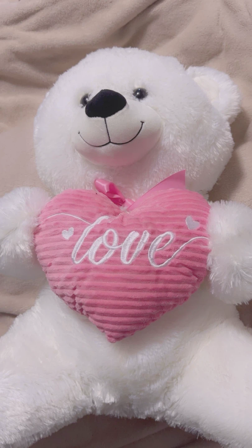 White Teddy Bear with Pink "love" Heart Plush