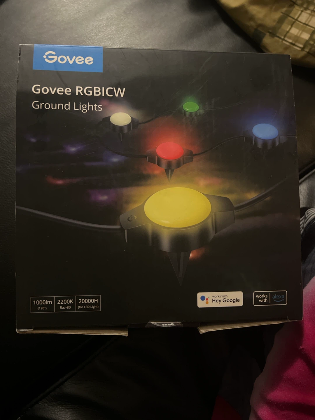Govee RGBICW Ground Lights