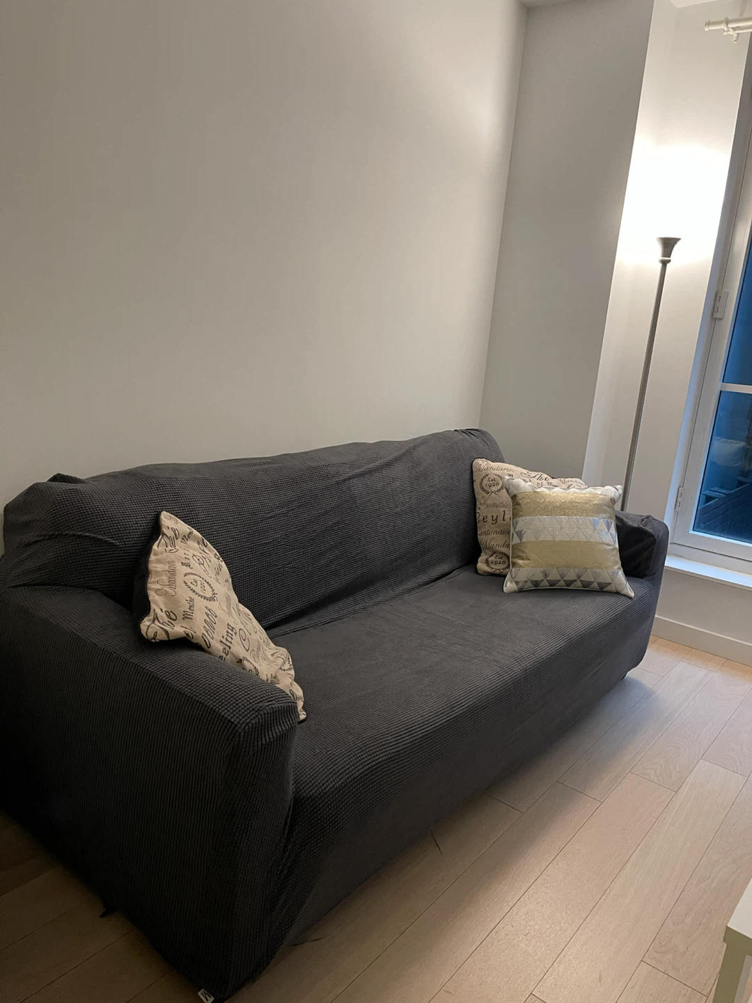 83” Dark Gray Sofa with Pull-out Queen Bed