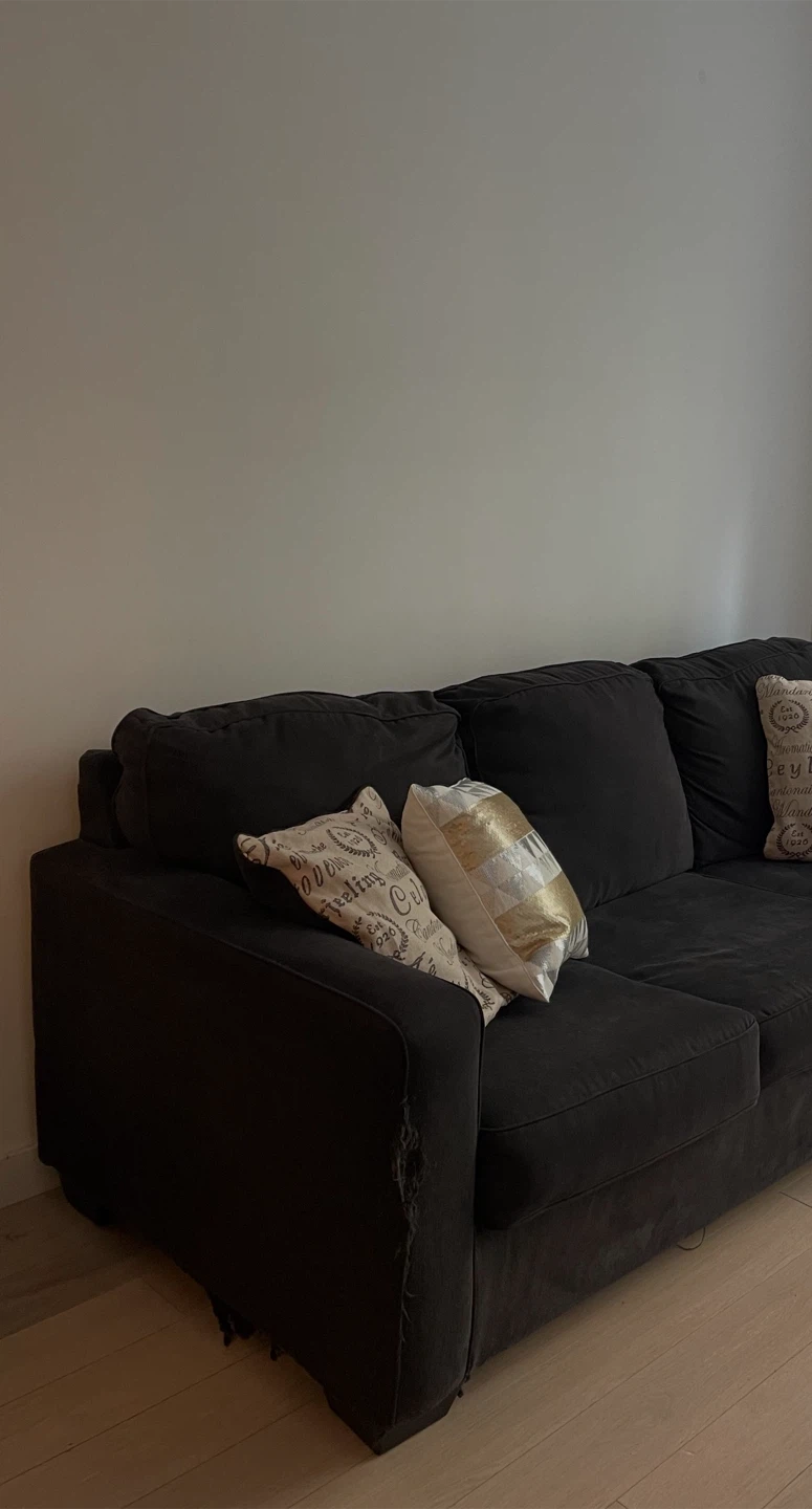 83” Dark Gray Sofa with Pull-out Queen Bed - photo 4