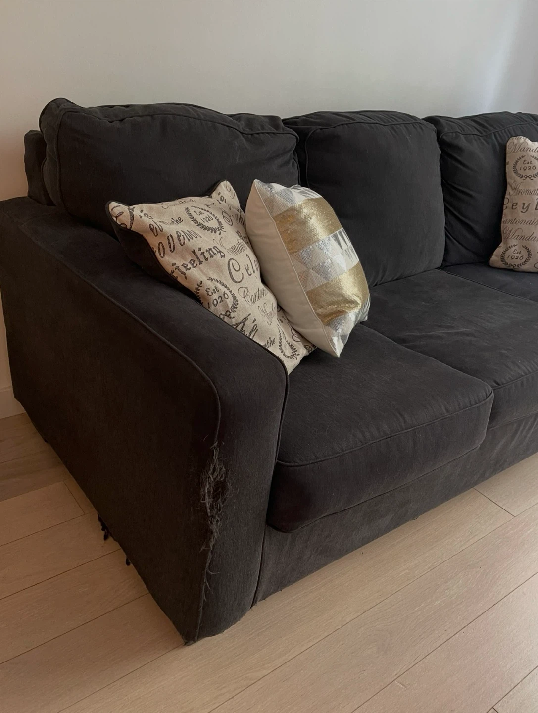 83” Dark Gray Sofa with Pull-out Queen Bed - photo 5
