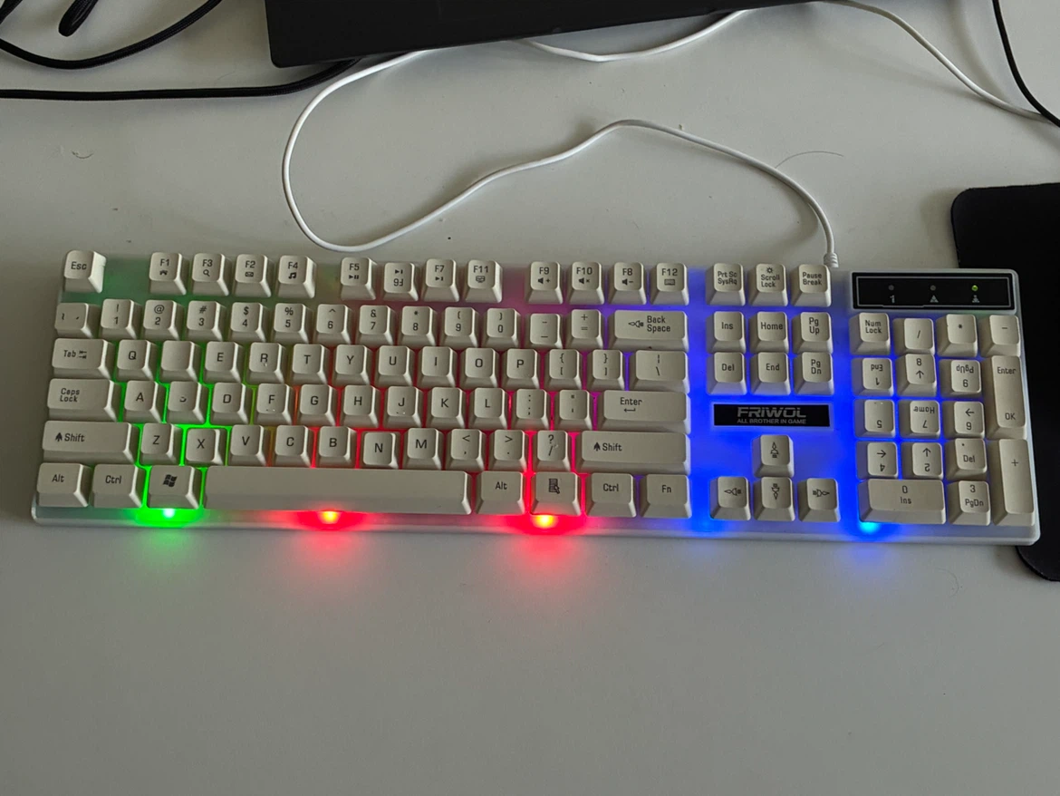 FRIWOL Backlit Keyboard - photo 4