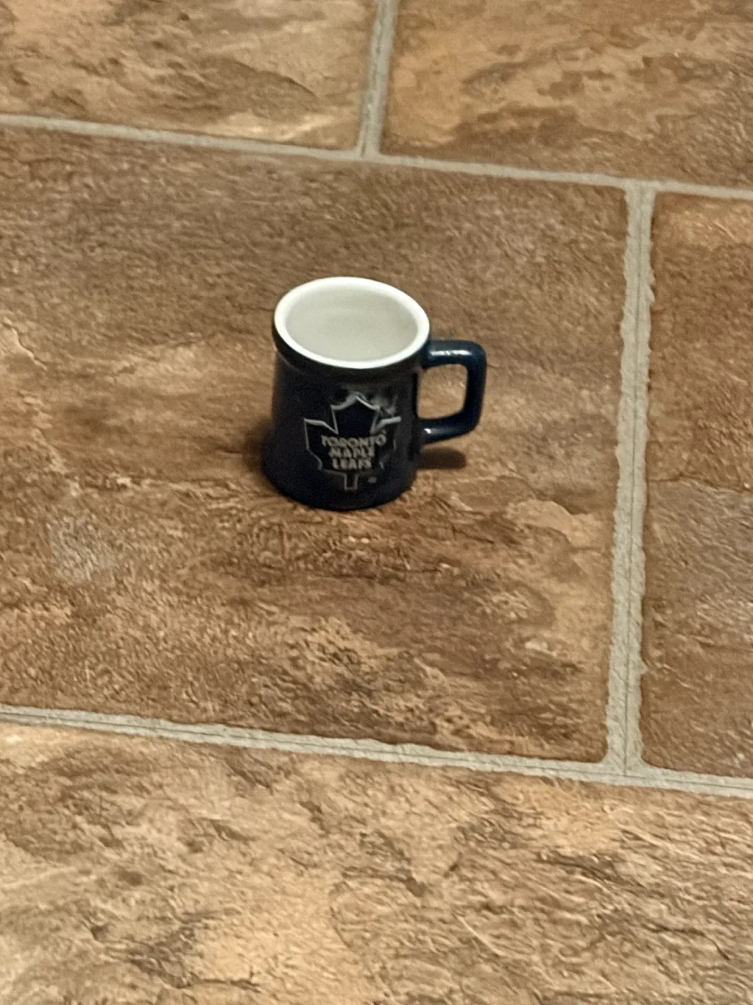 Toronto Maple Leafs Mini Mug