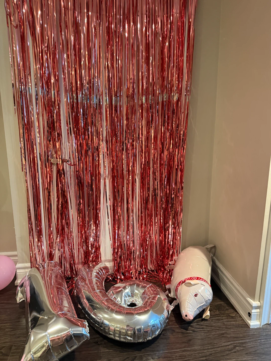 Metallic Tinsel Fringe Curtain and Foil Balloons