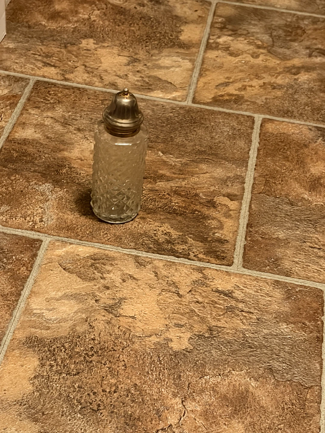 Vintage Glass Salt Shaker