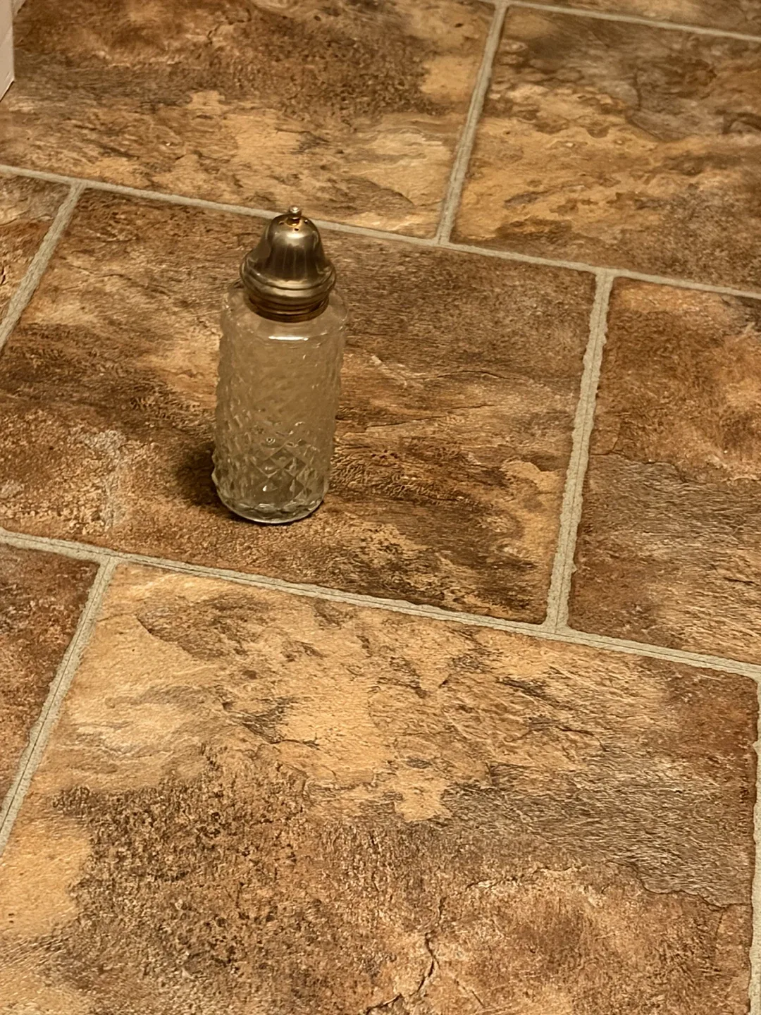 Vintage Glass Salt Shaker