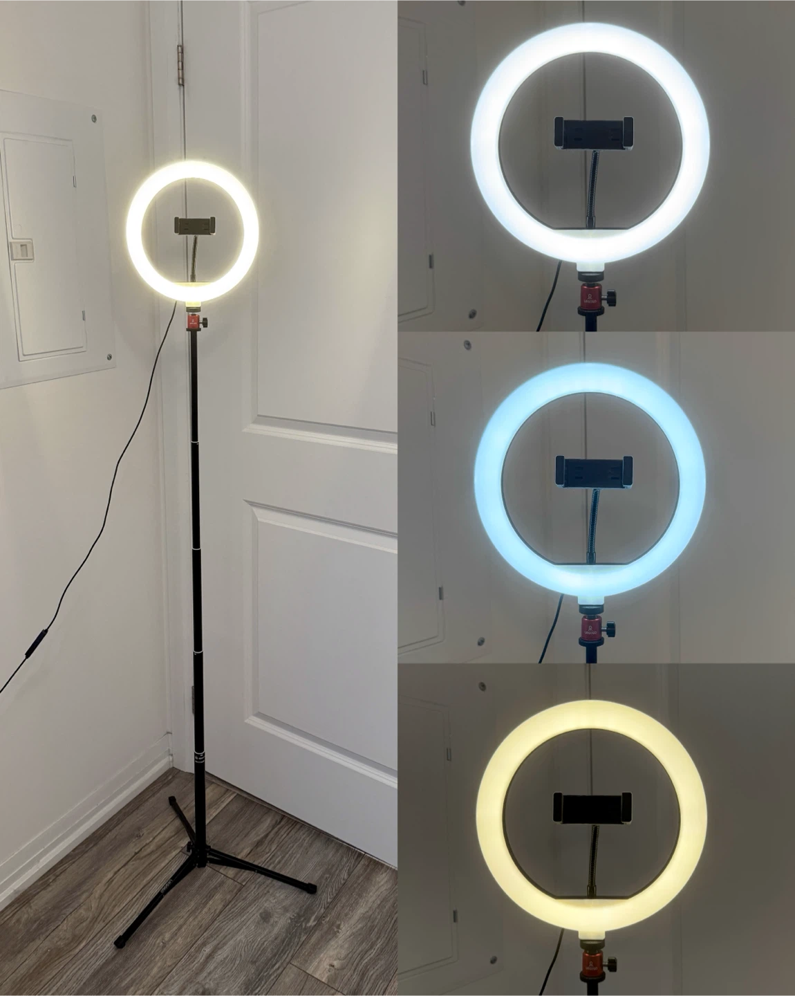 Ring Light with Tripod and Phone Mount - 3 modes light