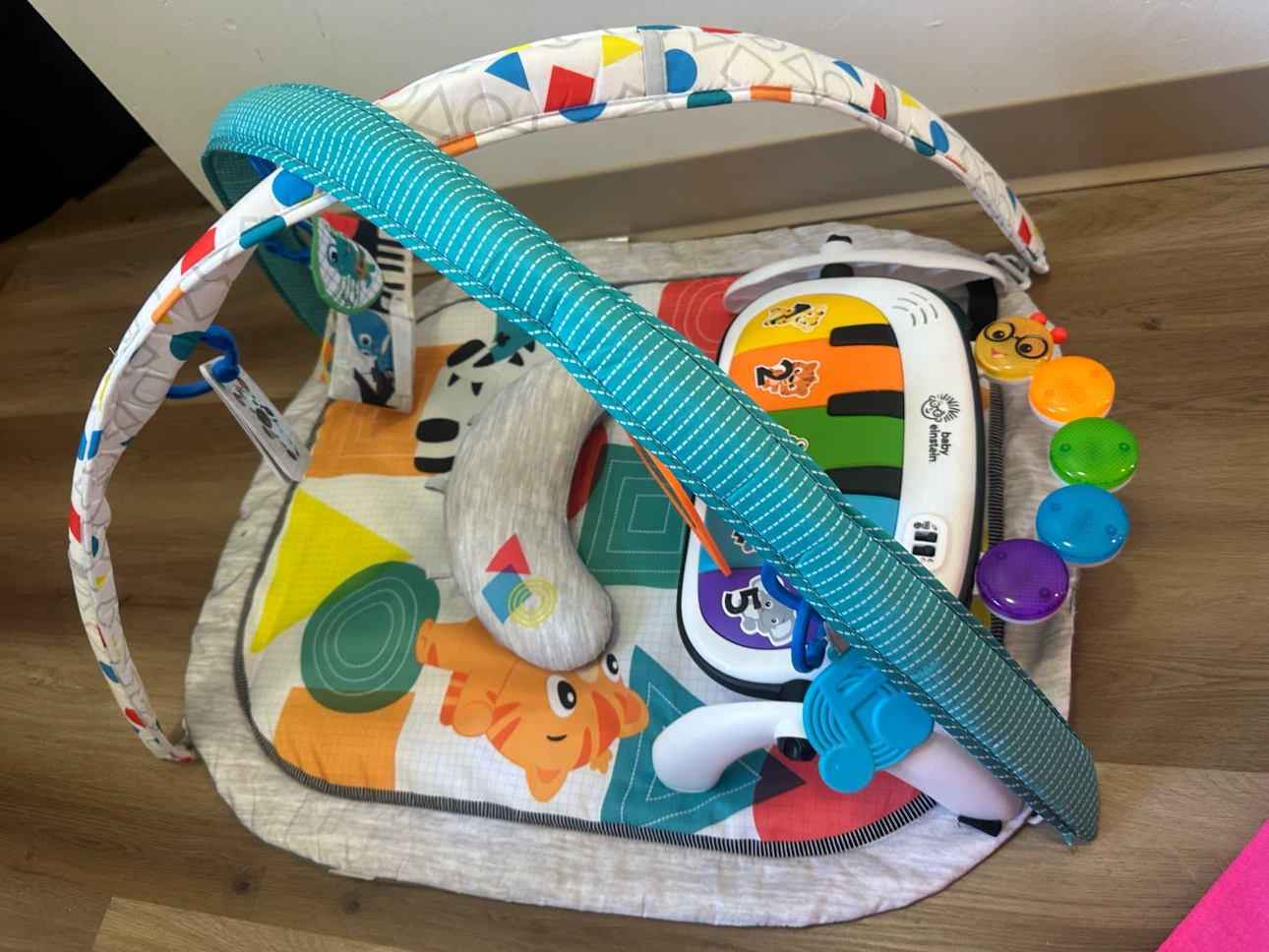 Baby Einstein Take Along Tunes Musical Toy