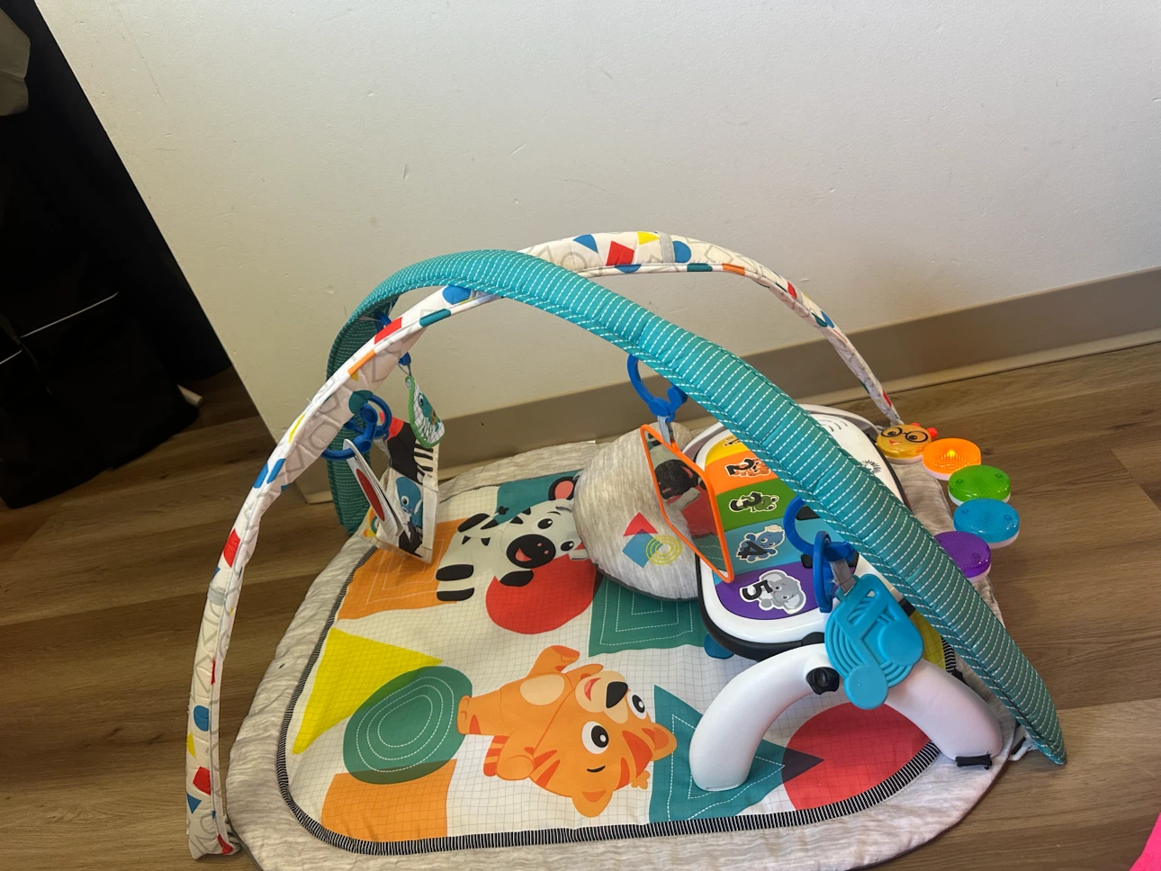Baby Einstein Take Along Tunes Musical Toy - photo 3