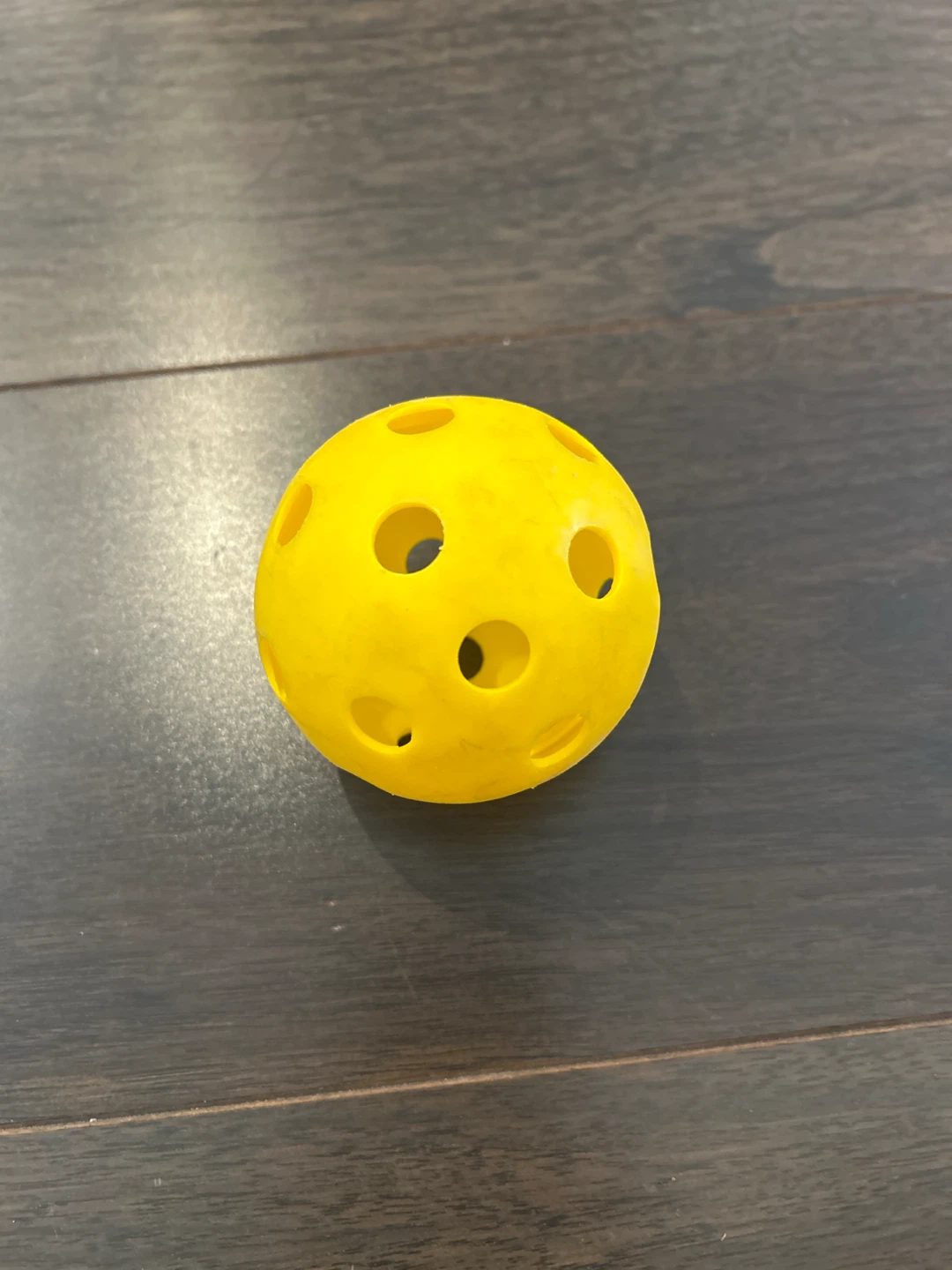 Pickleball Ball