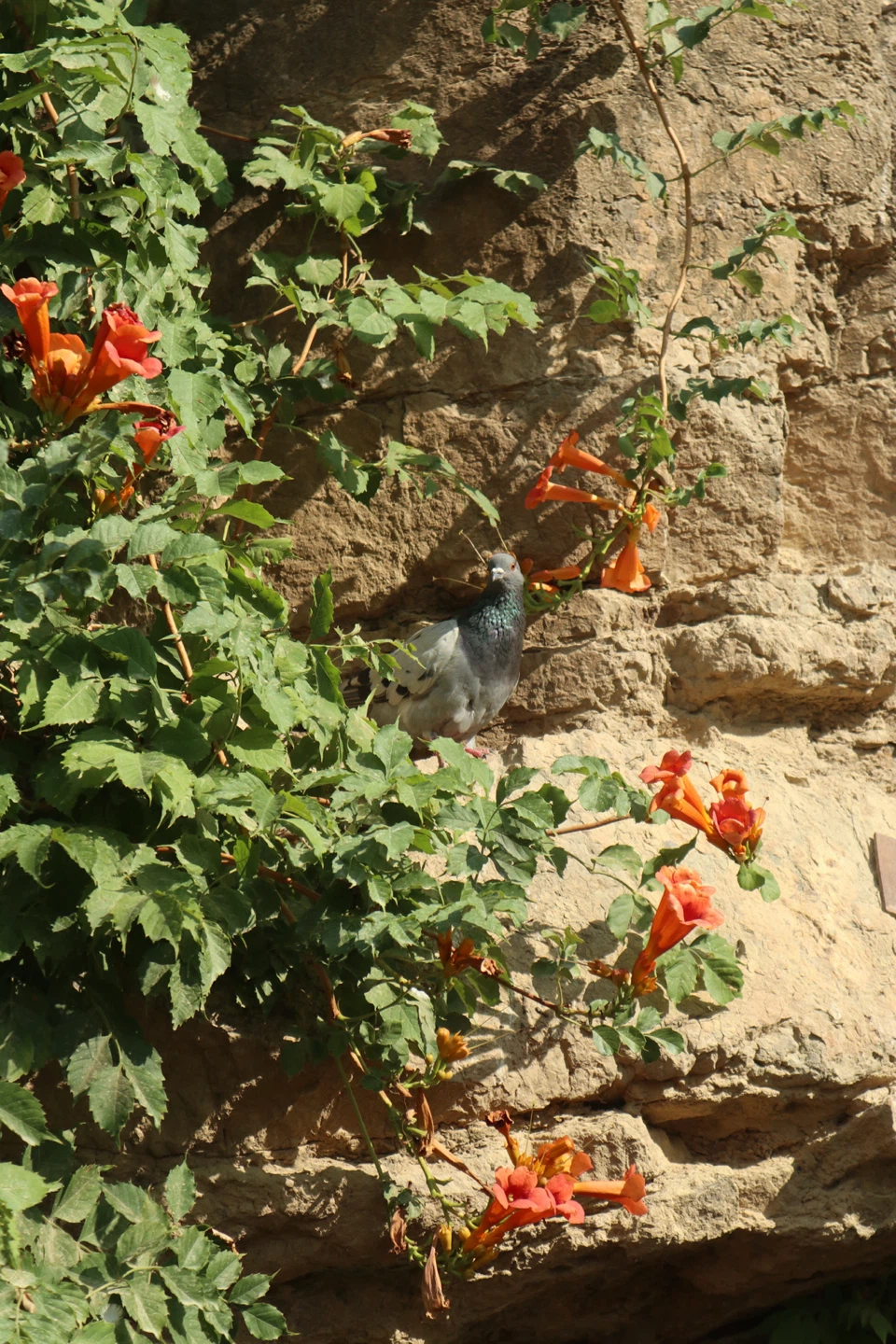 PHOTOGRAPHY!! - photo 3