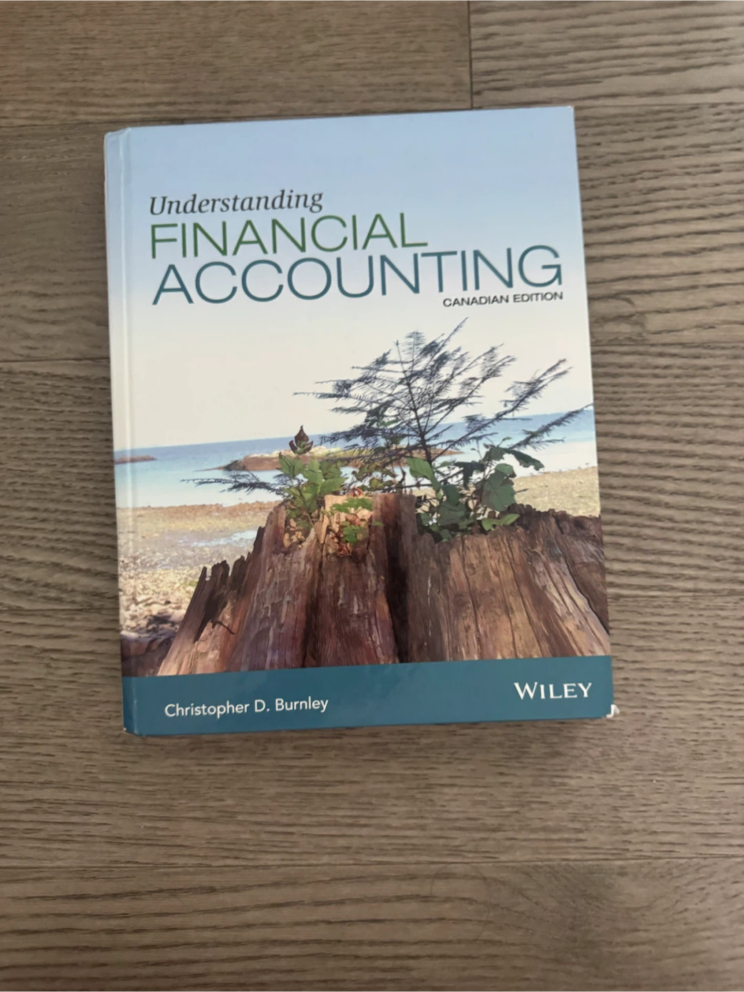 Understanding Financial Accounting Canadian Edition Textbook
