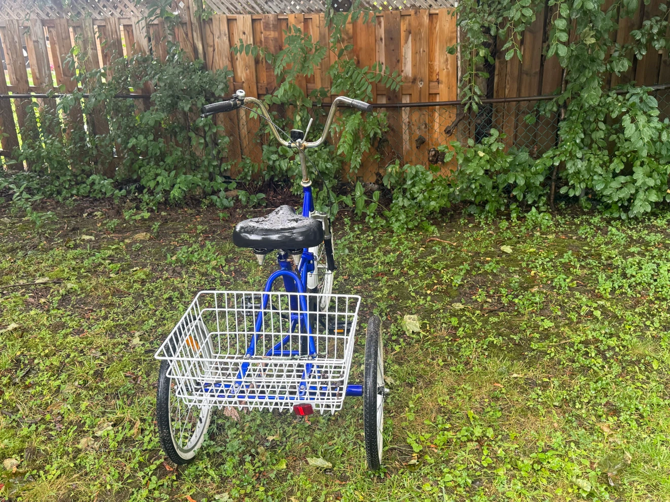 Mantis Tri-Rad Adult Tricycle - photo 3