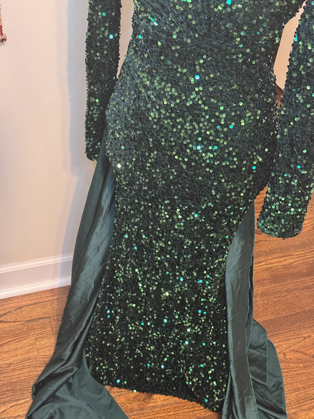 Sequin Velvet Gown - photo 3
