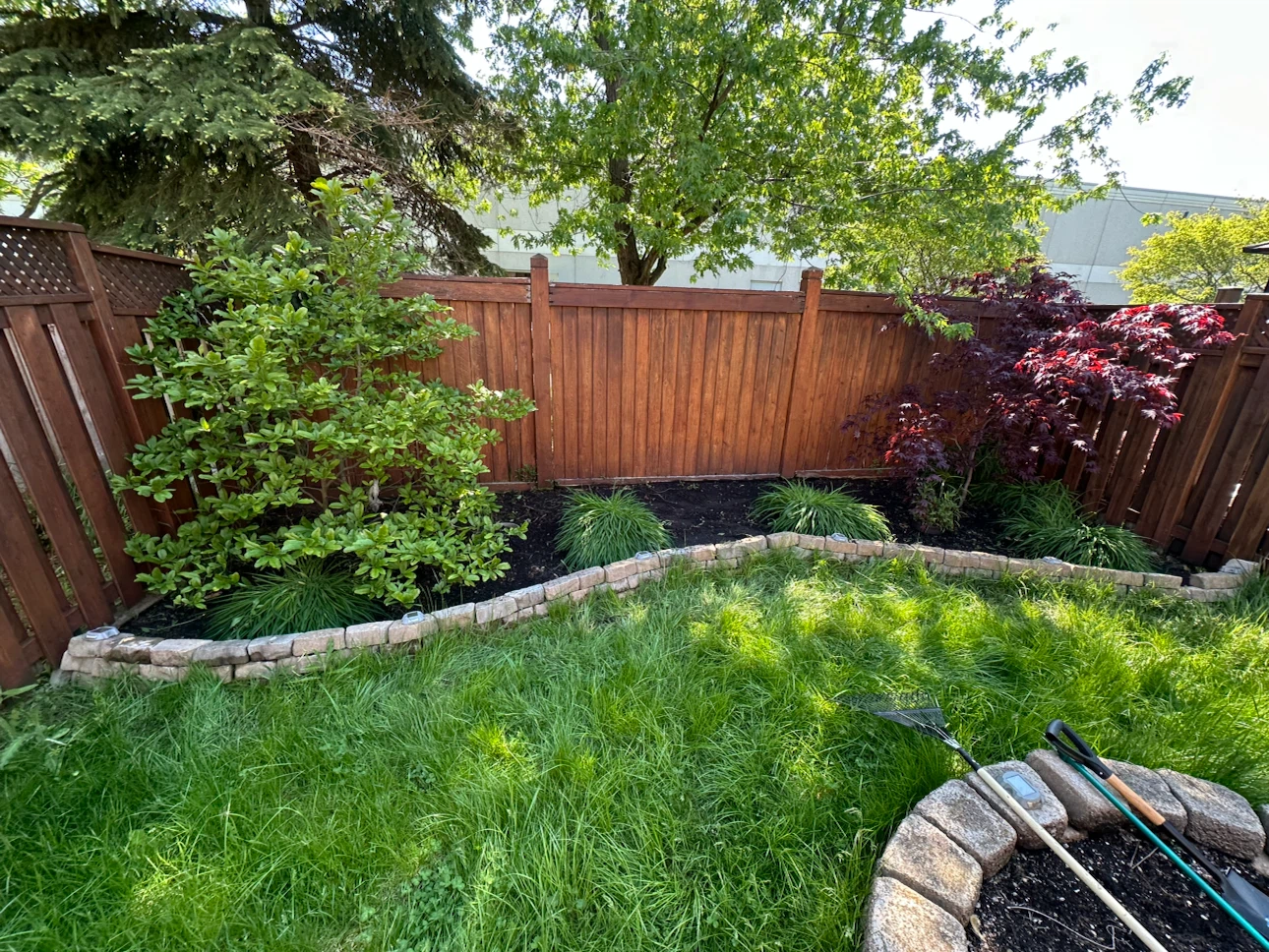 Backyard Pavers and Landscaping - photo 2