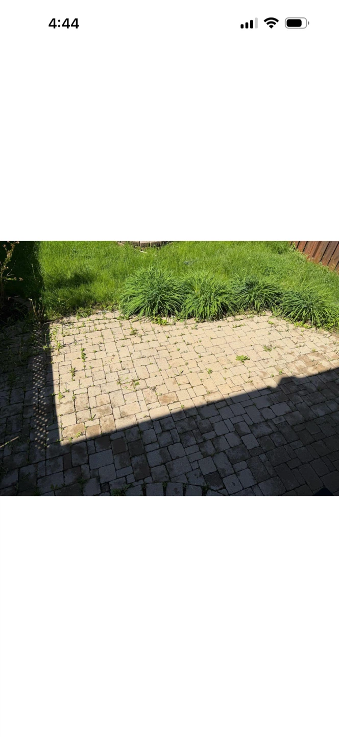 Backyard Pavers and Landscaping - photo 3