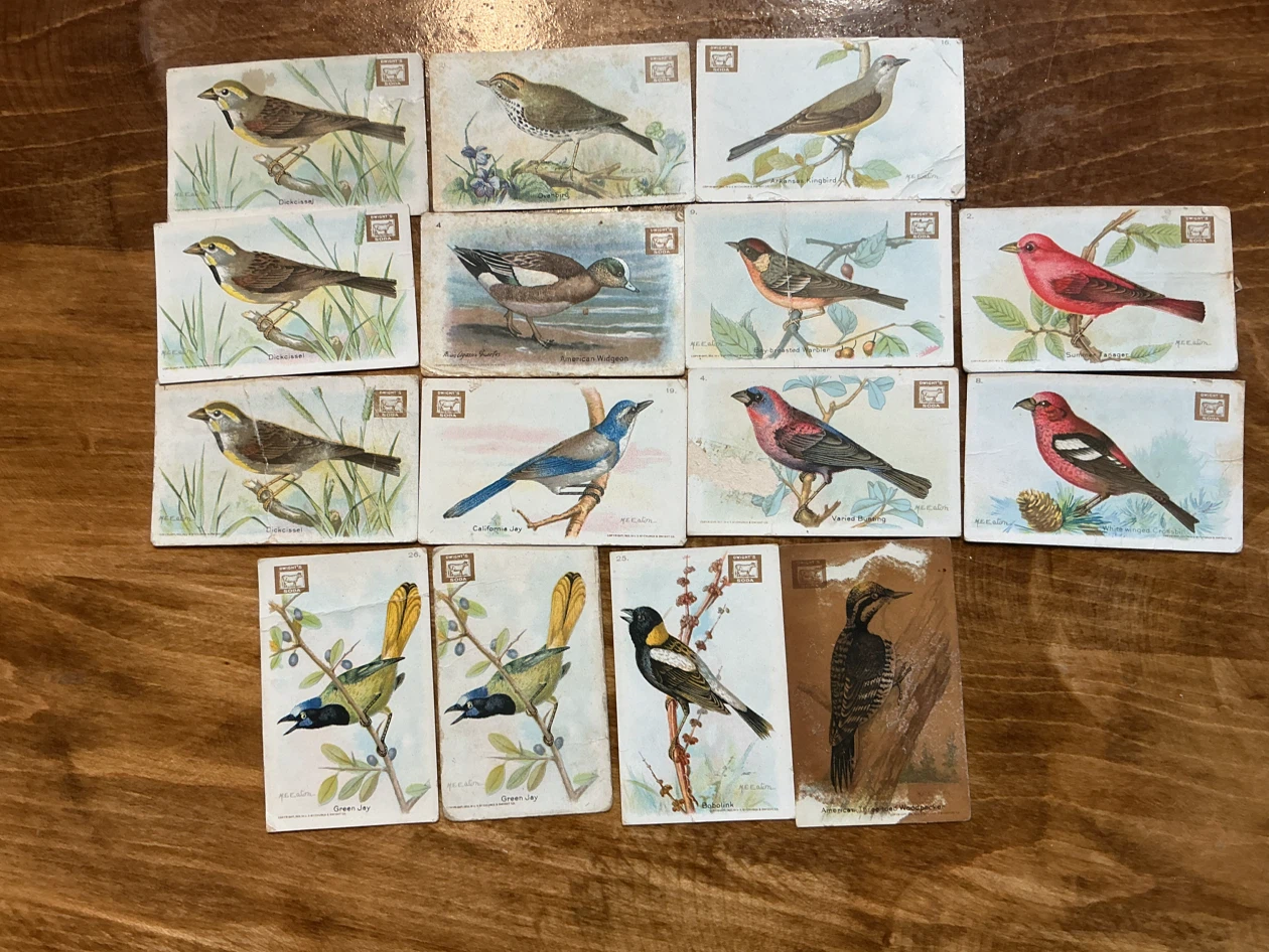 15. 1938 Church & Dwight “USEFUL BIRDS OF AMERICA” Cards