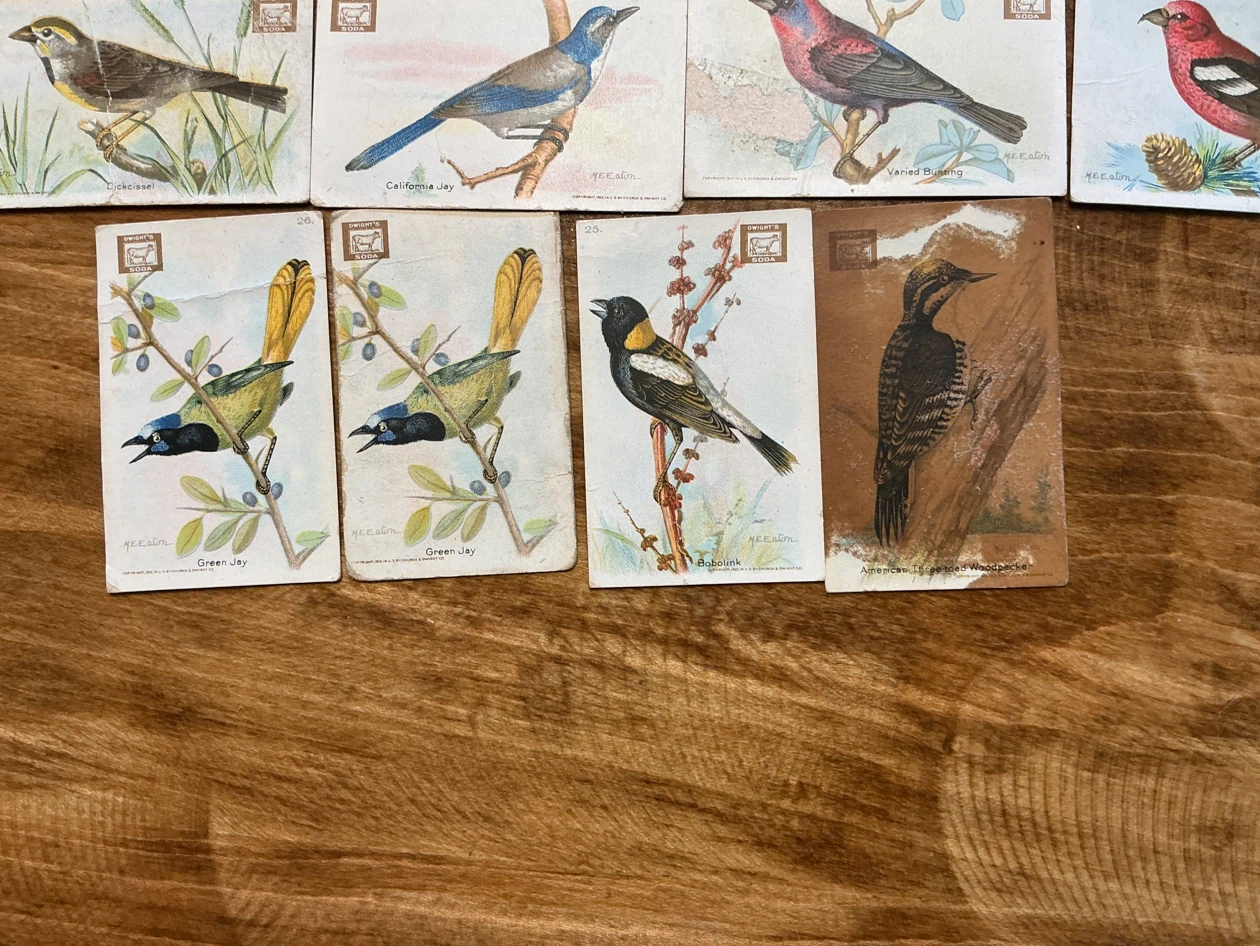 15. 1938 Church & Dwight “USEFUL BIRDS OF AMERICA” Cards - photo 4