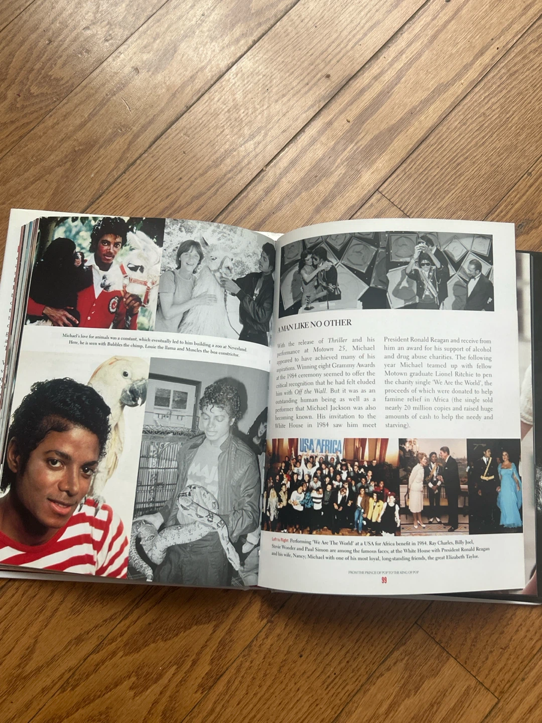 Michael Jackson: Legend, Hero, Icon Book - photo 3