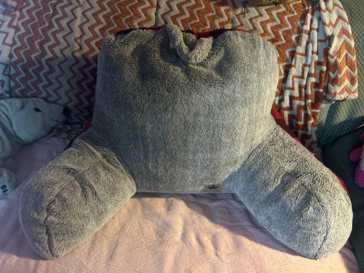 Reading Pillow
