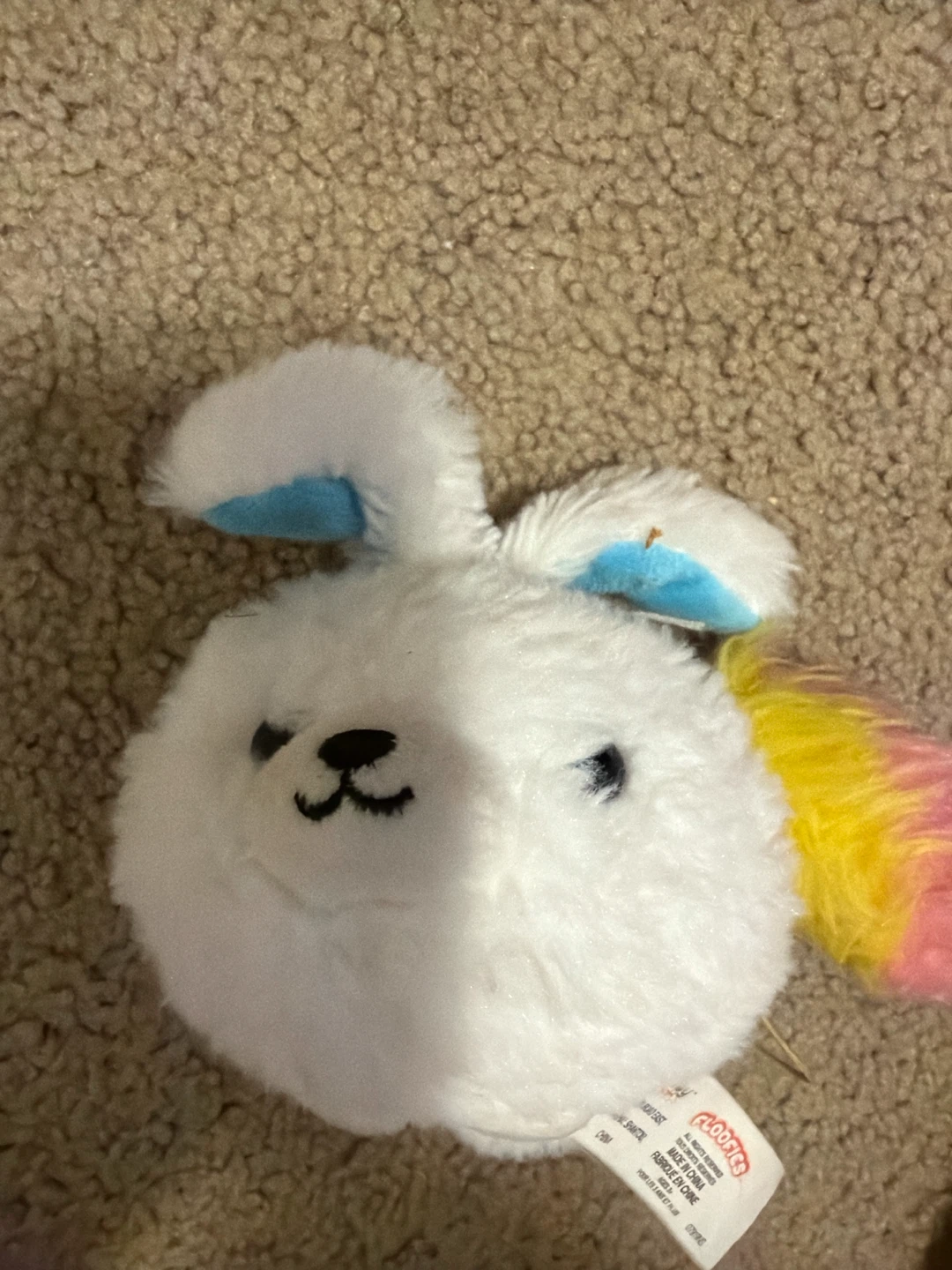 Bunny