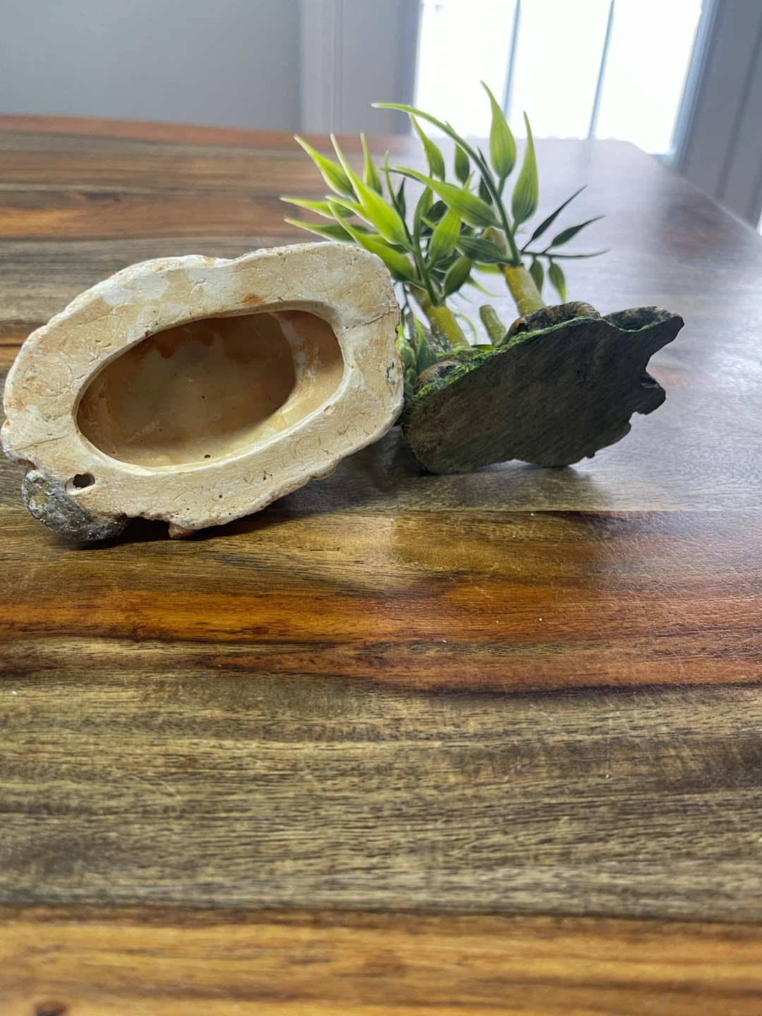 Aquarium Decorations - Clam Shell with Pearls & Bamboo Plant - photo 4