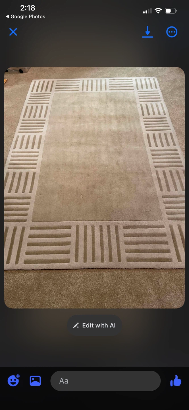 Beige Area Rug with Decorative Border